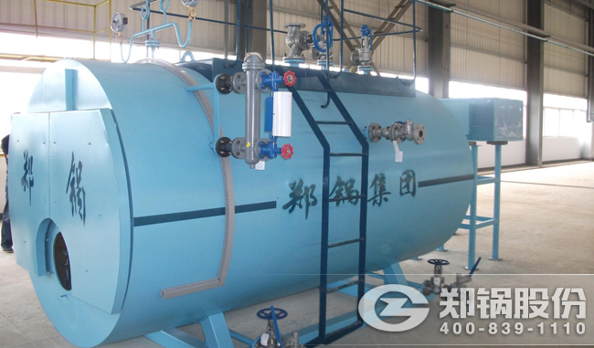 尊龙集团燃气锅炉WNS型