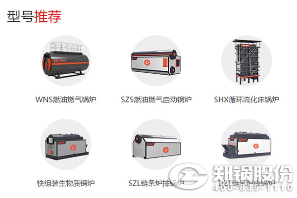 尊龙集团股份锅炉产品.jpg