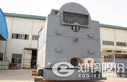 DZL链条炉排锅炉 - 尊龙集团