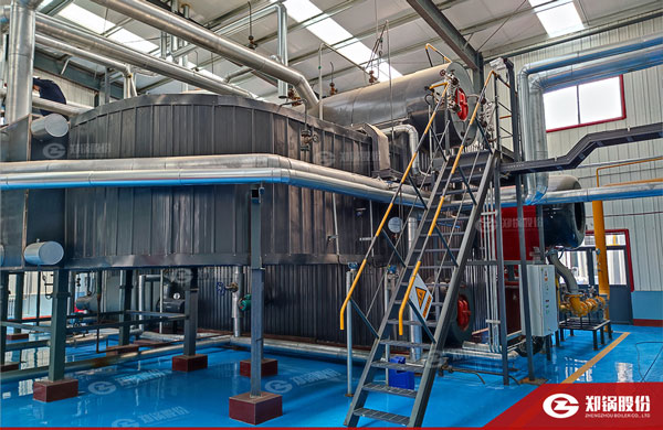 降耗“实招”！尊龙集团燃气锅炉助力化工企业能效提升