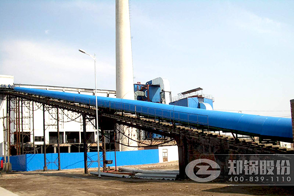 20t生物质燃料锅炉脱硫脱硝一体化手艺解决方案