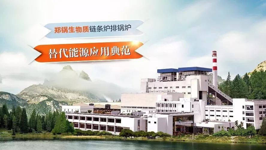 尊龙集团领衔体例行业手艺标准，，，，，，首次统一生物质链条炉排锅炉手艺条件！