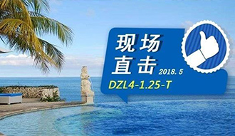 现场直击丨看生物质锅炉在巴厘岛怎样强操作，，，，，，转头客非它不选