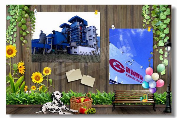 高质量的工业用石油自然气锅炉