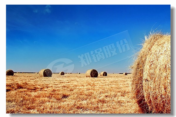 厂家信誉好的热水锅炉品牌找哪家？？