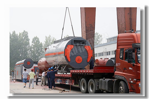 生物质蒸汽锅炉内部结构图是什么样的？？？？