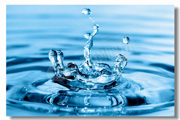 炉排炉同cfb锅炉较量有什么区别？？？？