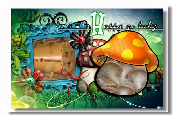 高质量石油自然气锅炉油炉工业