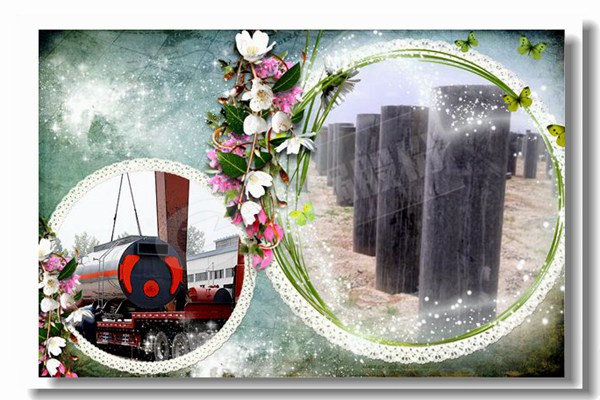 2吨容量锅炉价钱自制