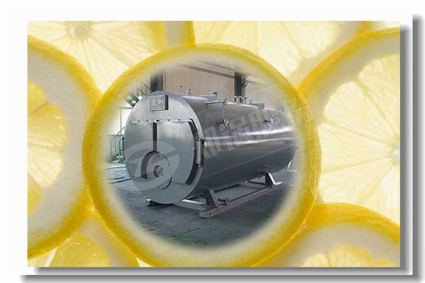 蒸汽锅炉烧烟煤与无烟煤较量有什么区别？？？？